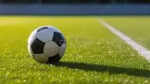 开云APP体育 资讯 100504 s6n