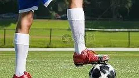 开云APP体育 资讯 103101 zrz