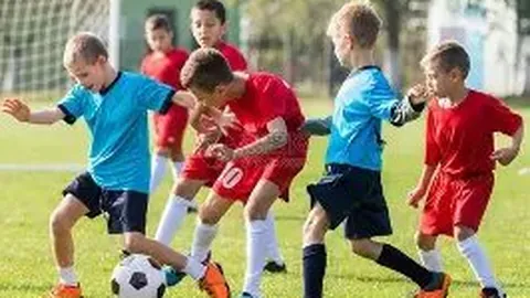 开云APP体育 资讯 102748 fzb