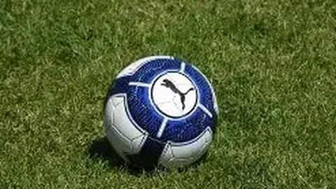 开云APP体育 资讯 102738 ouz