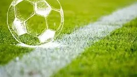 “九位篮球英雄齐聚高校，中国篮球名人堂首次设立荣耀殿堂”