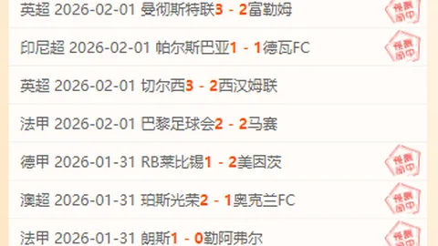 挑战时刻！埃迪-豪力挺点球判罚：对手后卫失位明显，进球争议再掀风云！