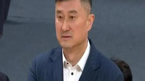 开云APP体育