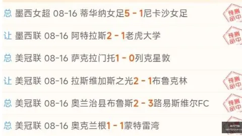 开云APP体育
